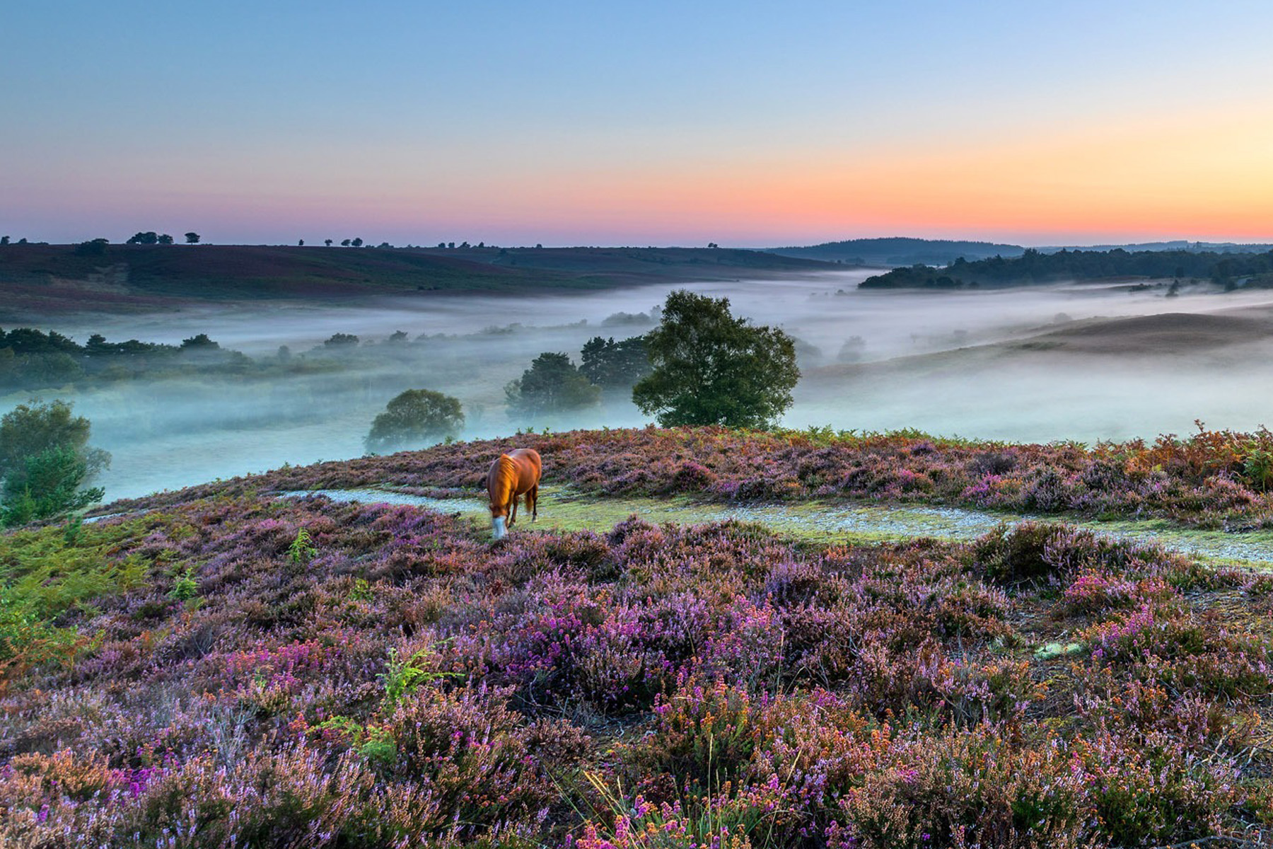 Nature on your doorstep
