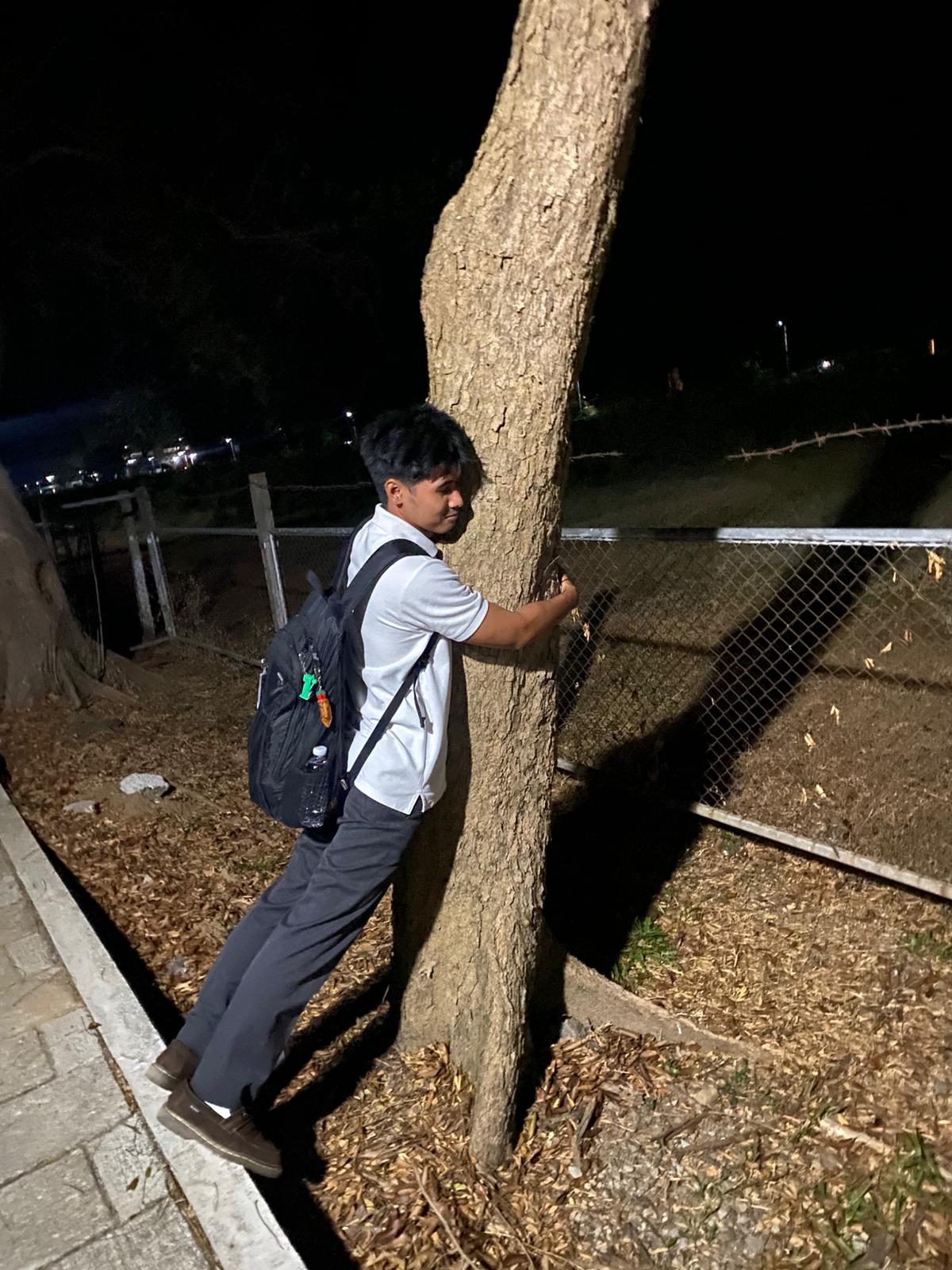 Hugging campus trees