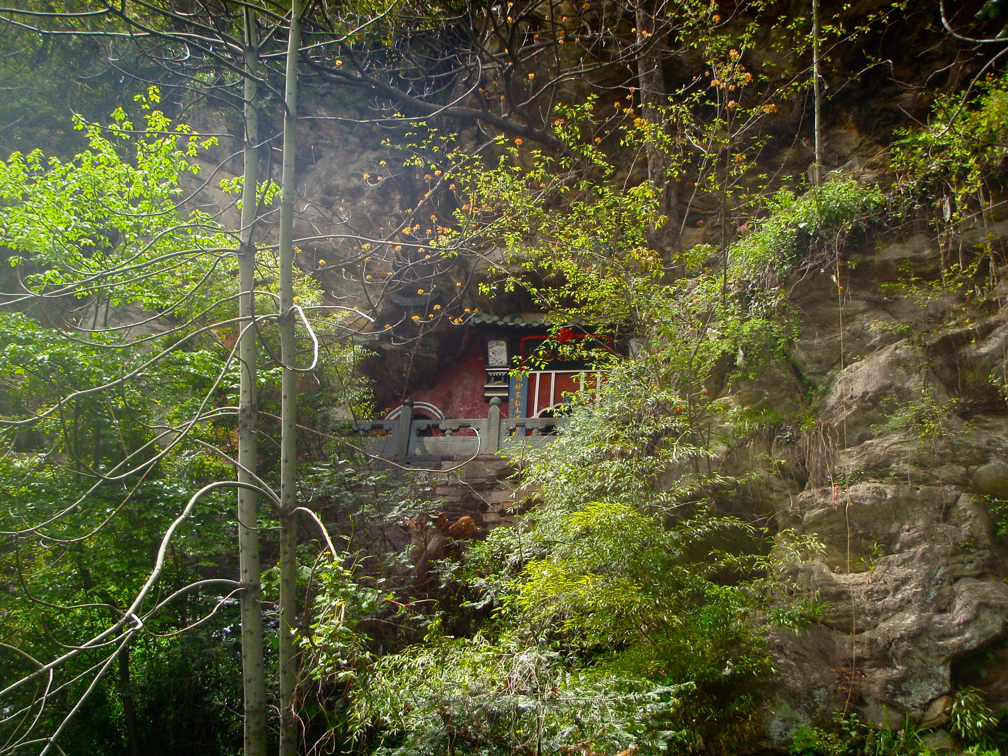 Small red shrine built into a misty cliff cave, surrounded by lush green foliage and bare tree branches