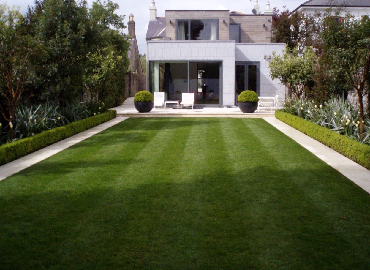 Formal modern lawn with crisp stone borders, low box hedging and clipped topiary spheres in tall planters