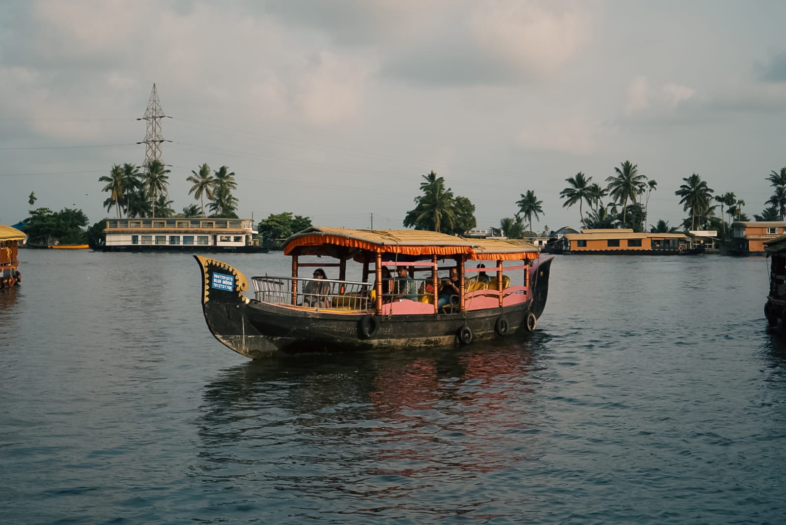 Colorful boat cruising through palm-lined backwaters
