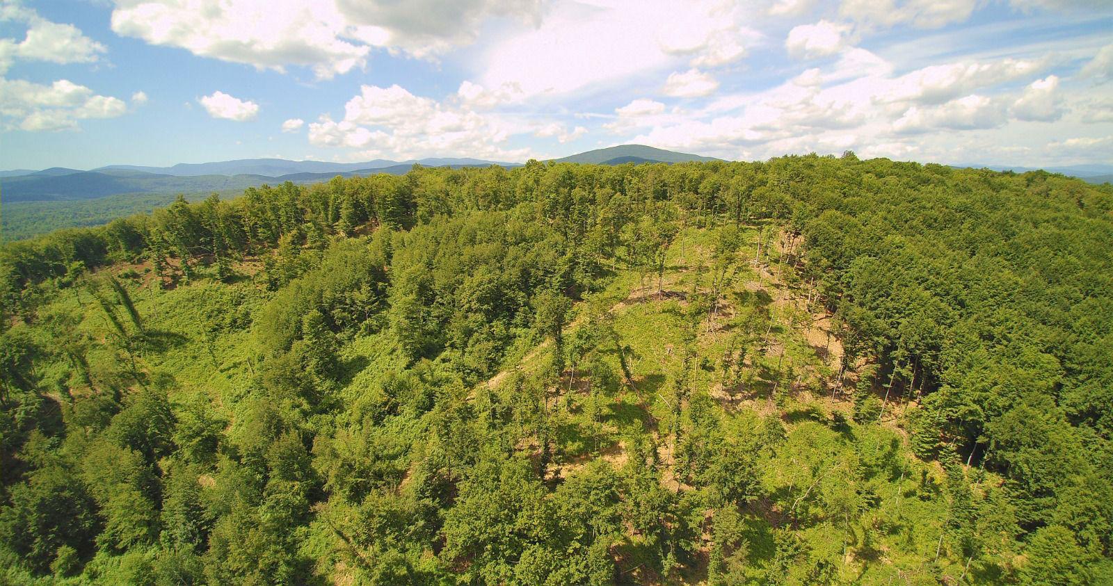 Panoramski pogled iz zraka na šumovit brijeg s planinama u pozadini