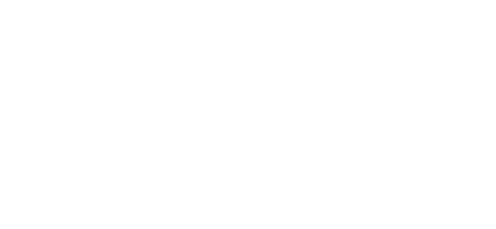 Druli Logo