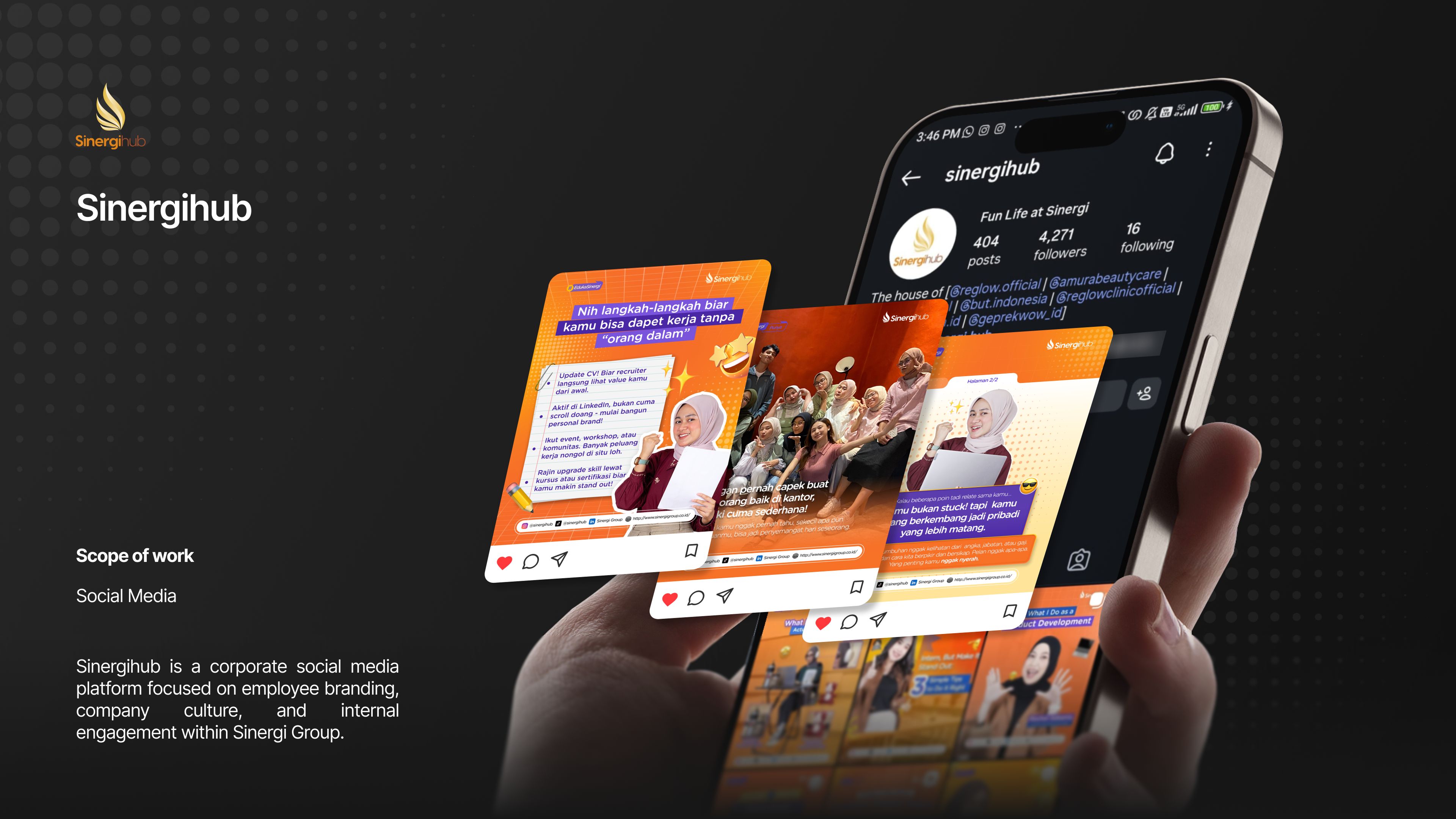 Sinergihub project