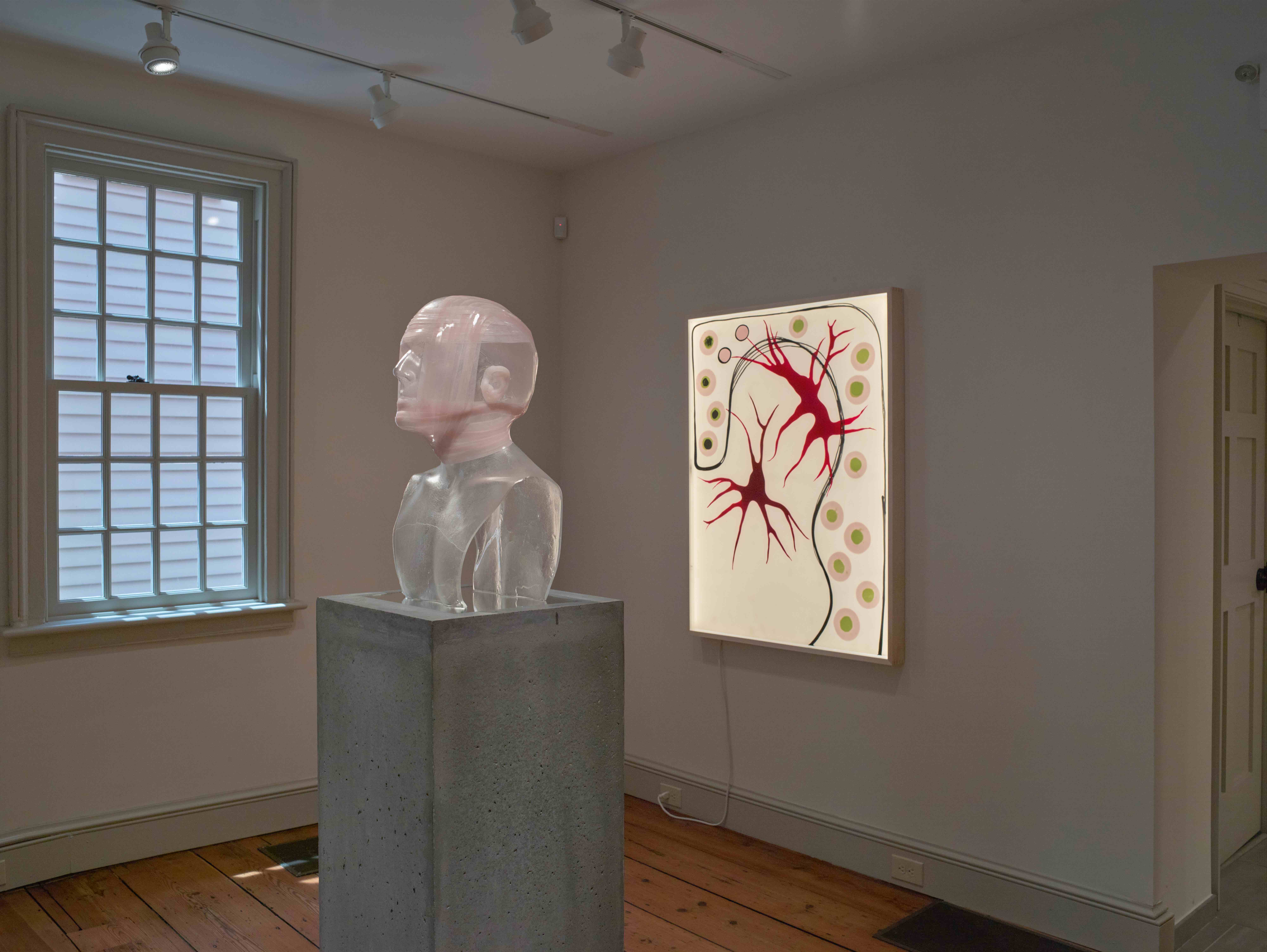 Body Matters - Image 6