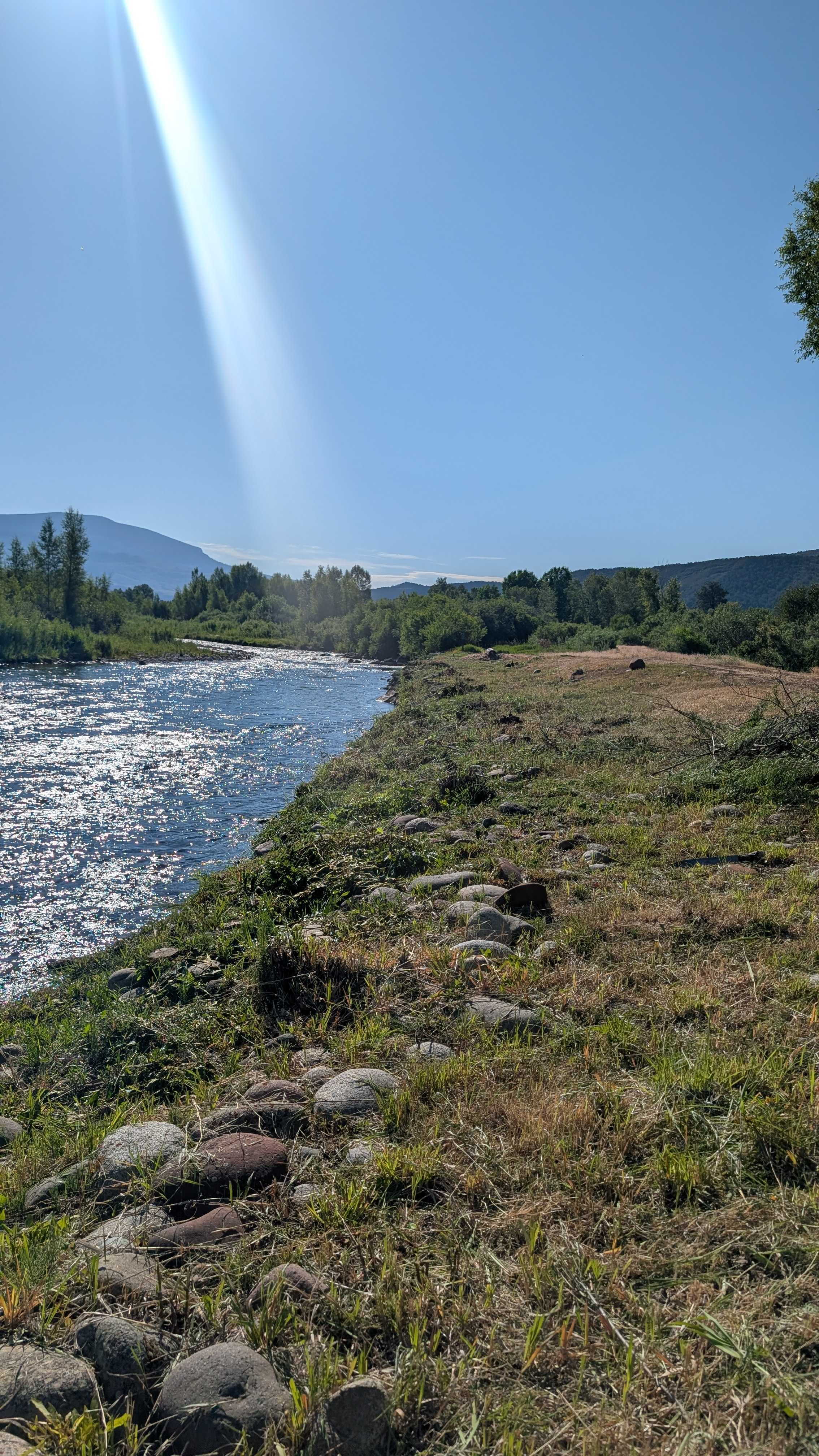 Before: dense overgrown vegetation along a Colorado riverbank