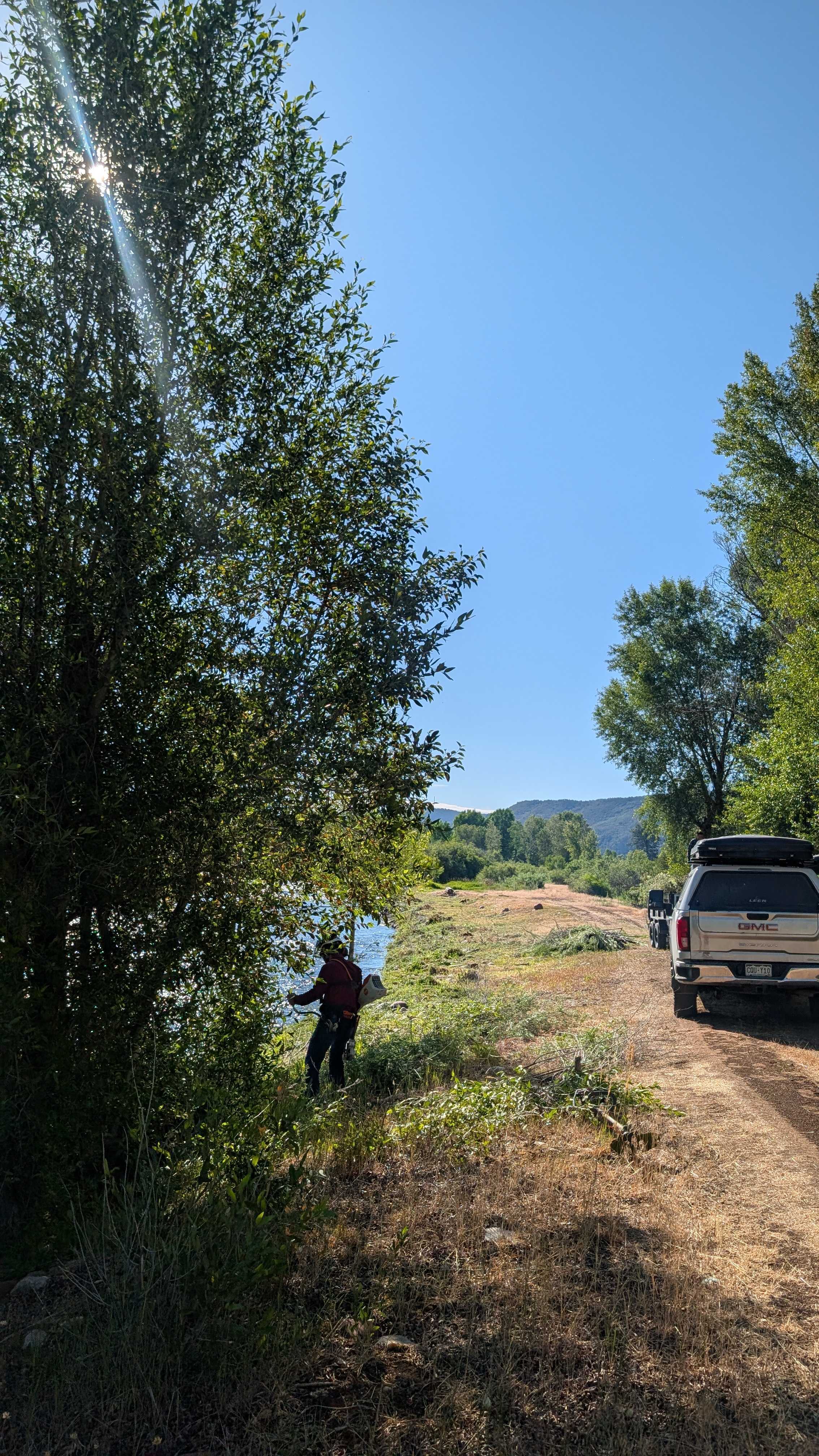 Highlands Tree Co crew member in PPE with chainsaw working on vegetation clearing along a Colorado river