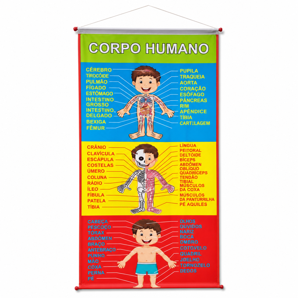 Painel Corpo Humano