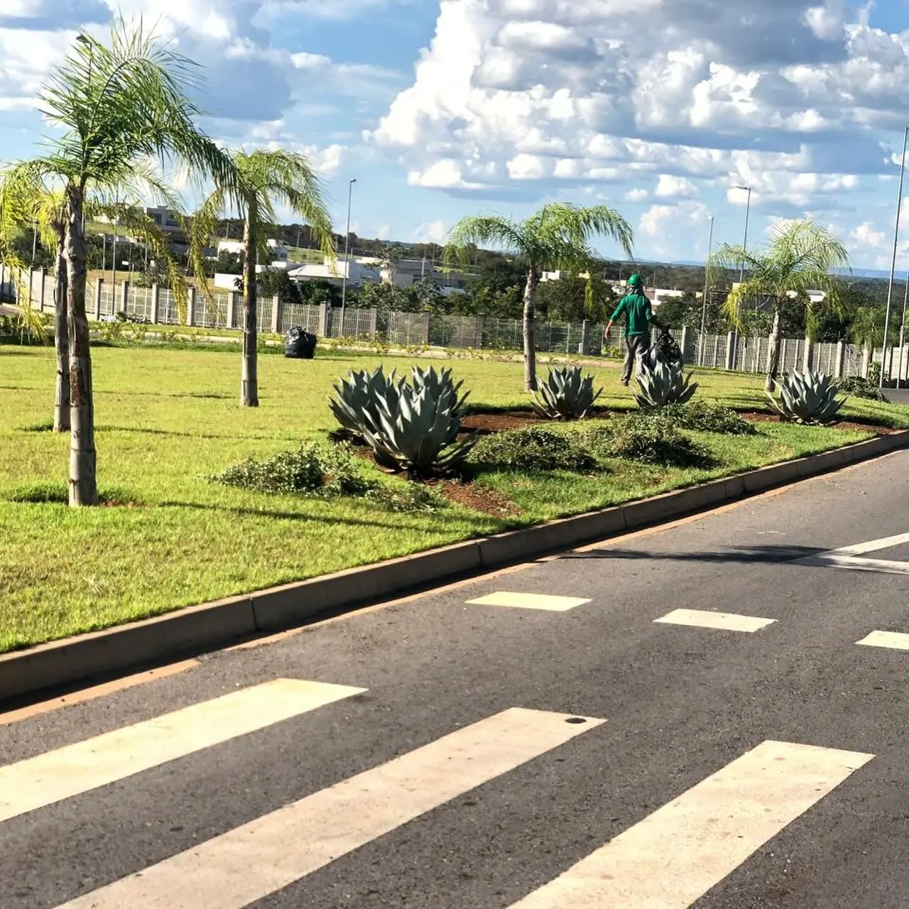 Paisagismo