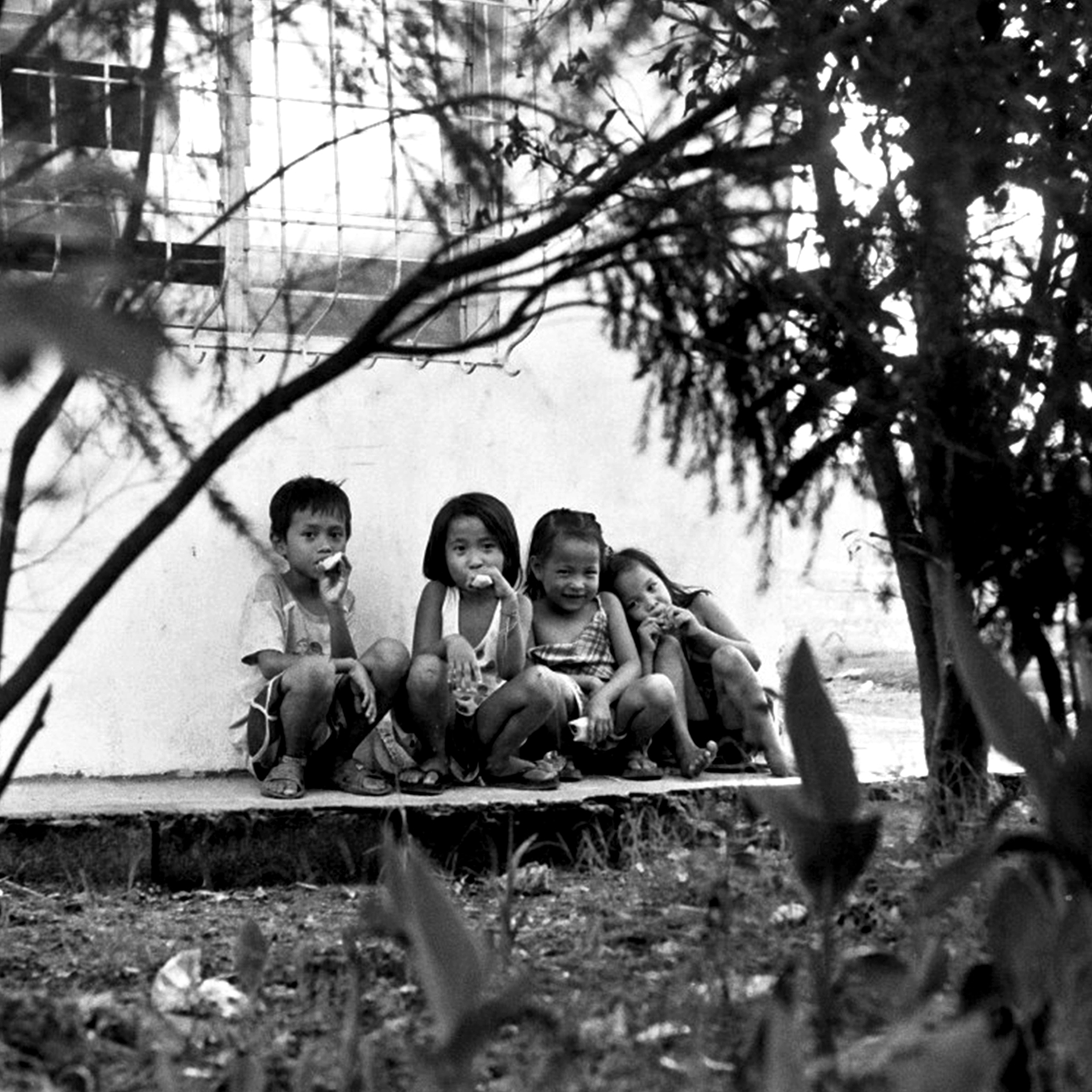 Group of children sitting together in shade under tree branch near water