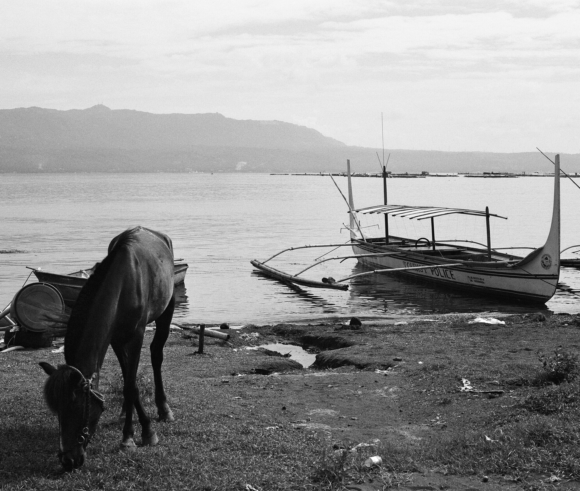 Black and white beach scene with water buffalo grazing boats moored bay and mountains
