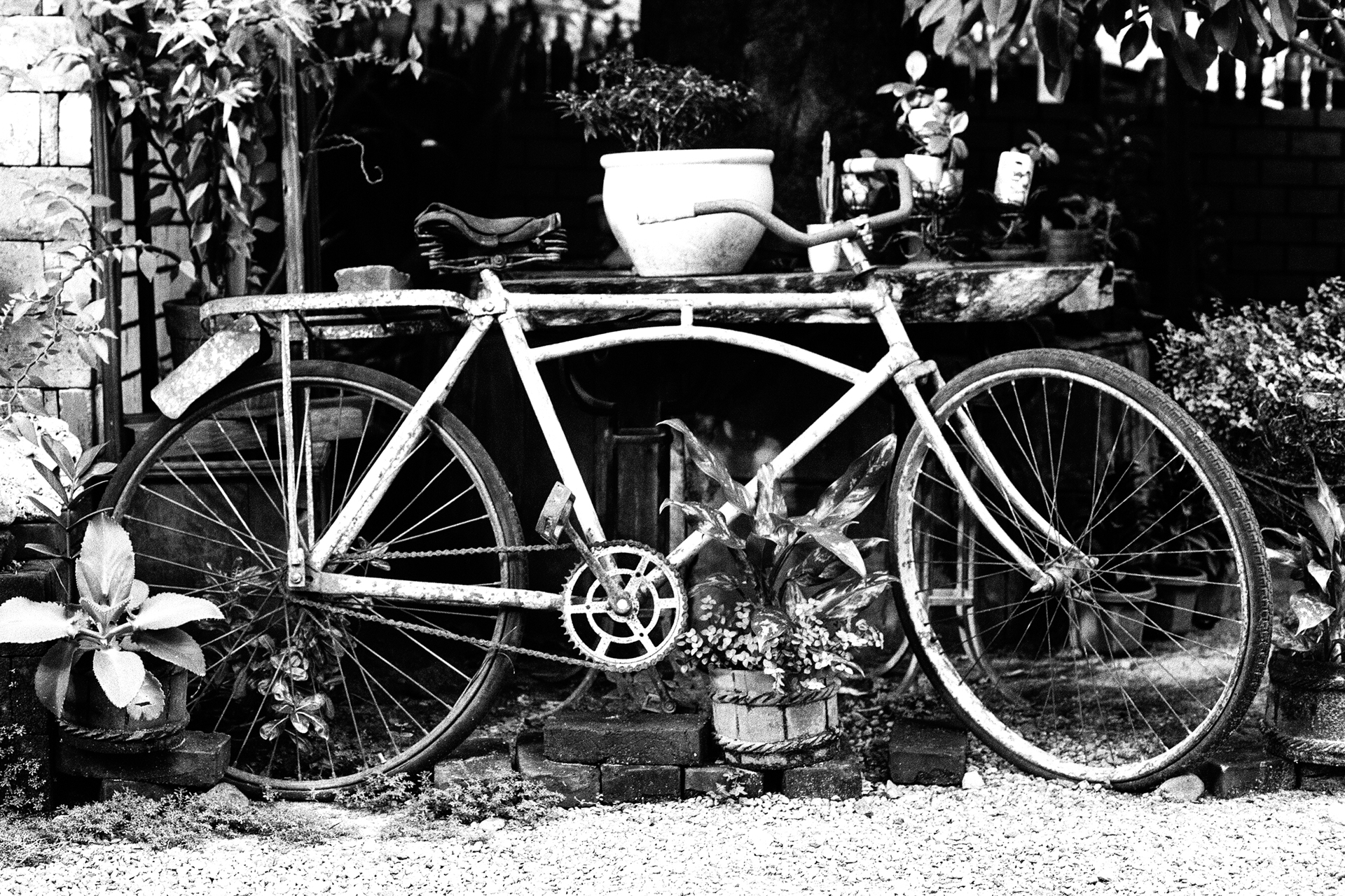 Black and white bicycle with large basket and pottery vessel against house with flowering plants