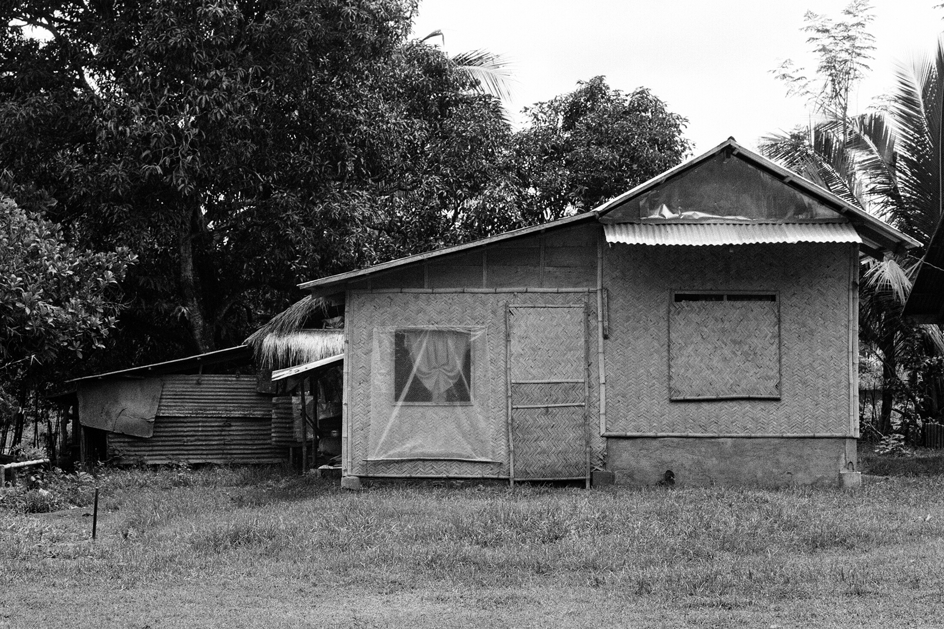Black and white traditional nipa hut house with corrugated roof surrounded by palm and coconut trees