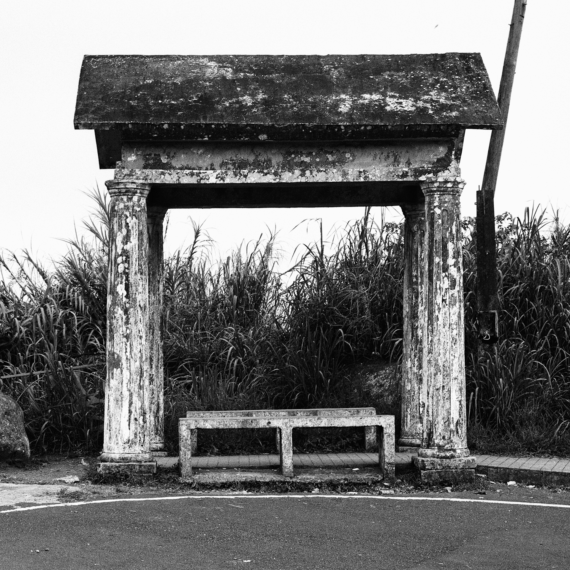 Black and white weathered bus shelter structure with concrete bench and overgrown vegetation
