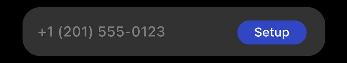 Call Forwarding row showing a phone number +1 (201) 555-0123 and a blue Setup button on the right, indicating forwarding is not yet configured