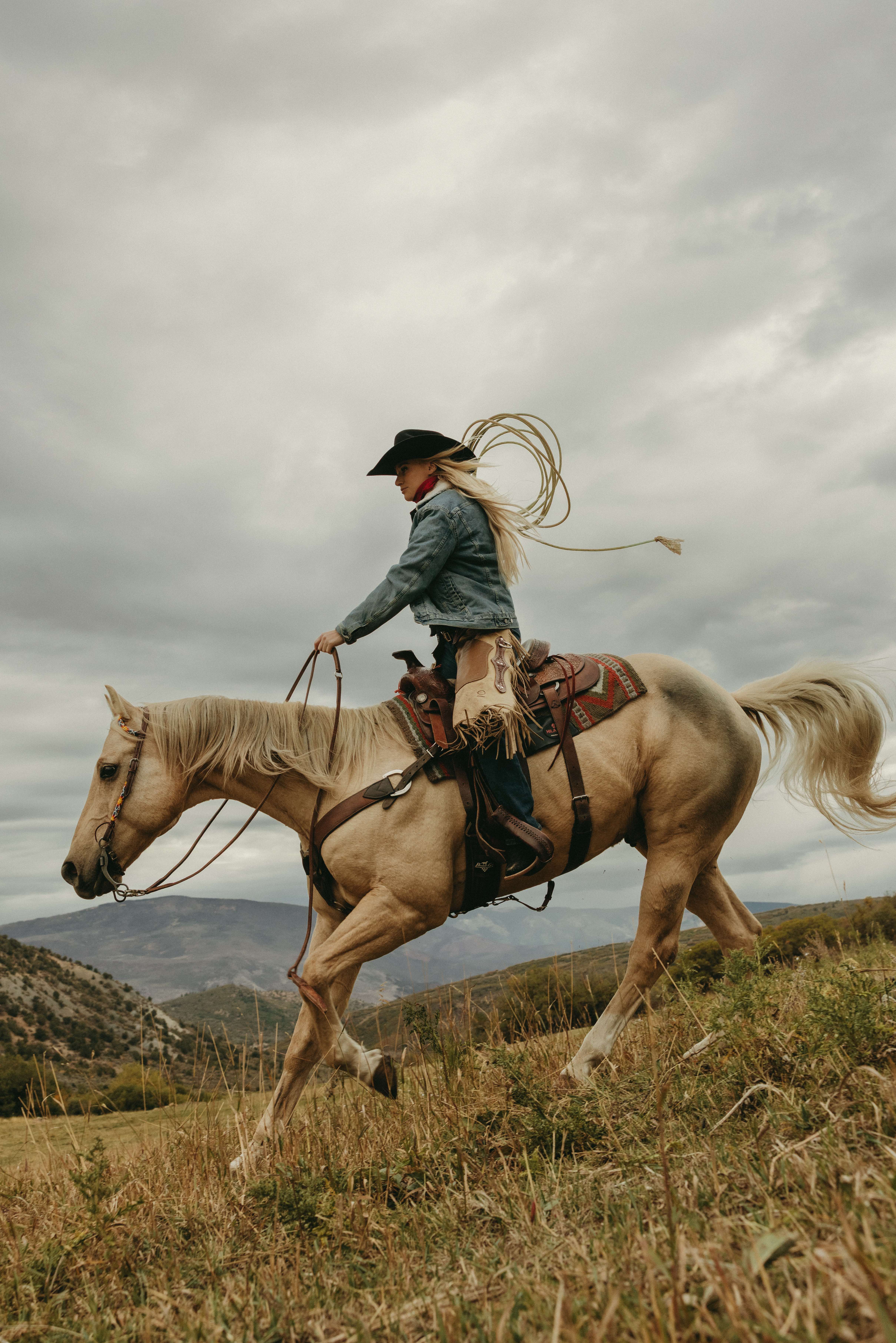 Rider on palomino horse galloping across hillside