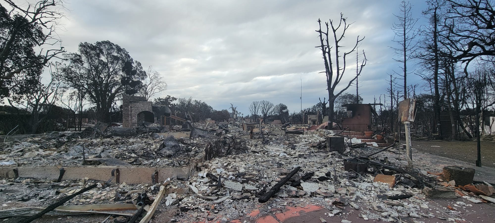 Aftermath of wildfire damage showing the critical need for professional rebuilding services