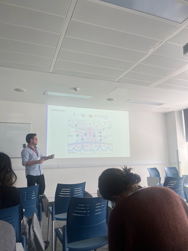 Second REACT Thematic Workshop: From Muscle to Mind — Rethinking Ageing photograph 7