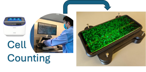 Cell counting application showing microscope, operator, and fluorescent cell sample