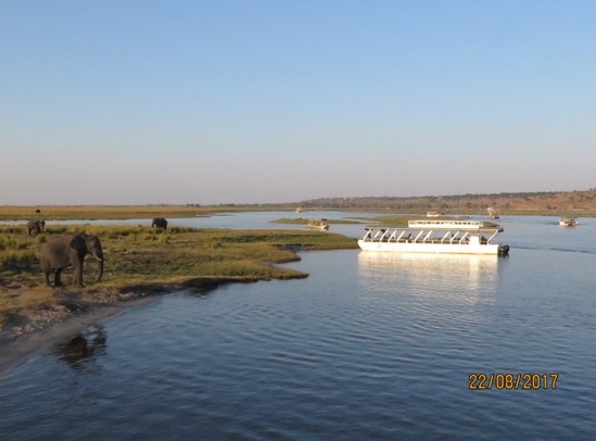 Chobe River with elephants on the riverbank and safari cruise boats on the water