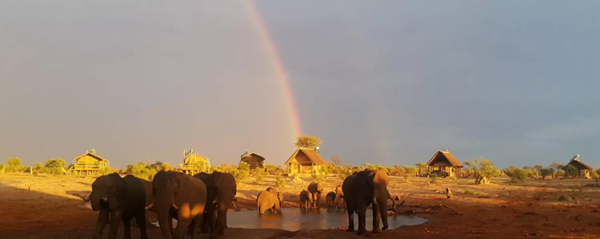 Herd of elephants drinking at waterhole in front of Elephant Sands lodge chalets with a rainbow in the background