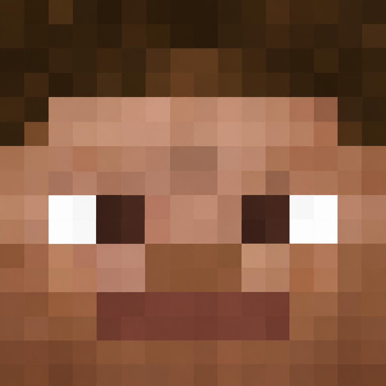 vxxqr minecraft avatar