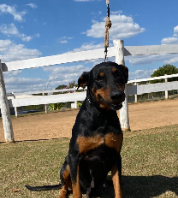 Foto de Polly