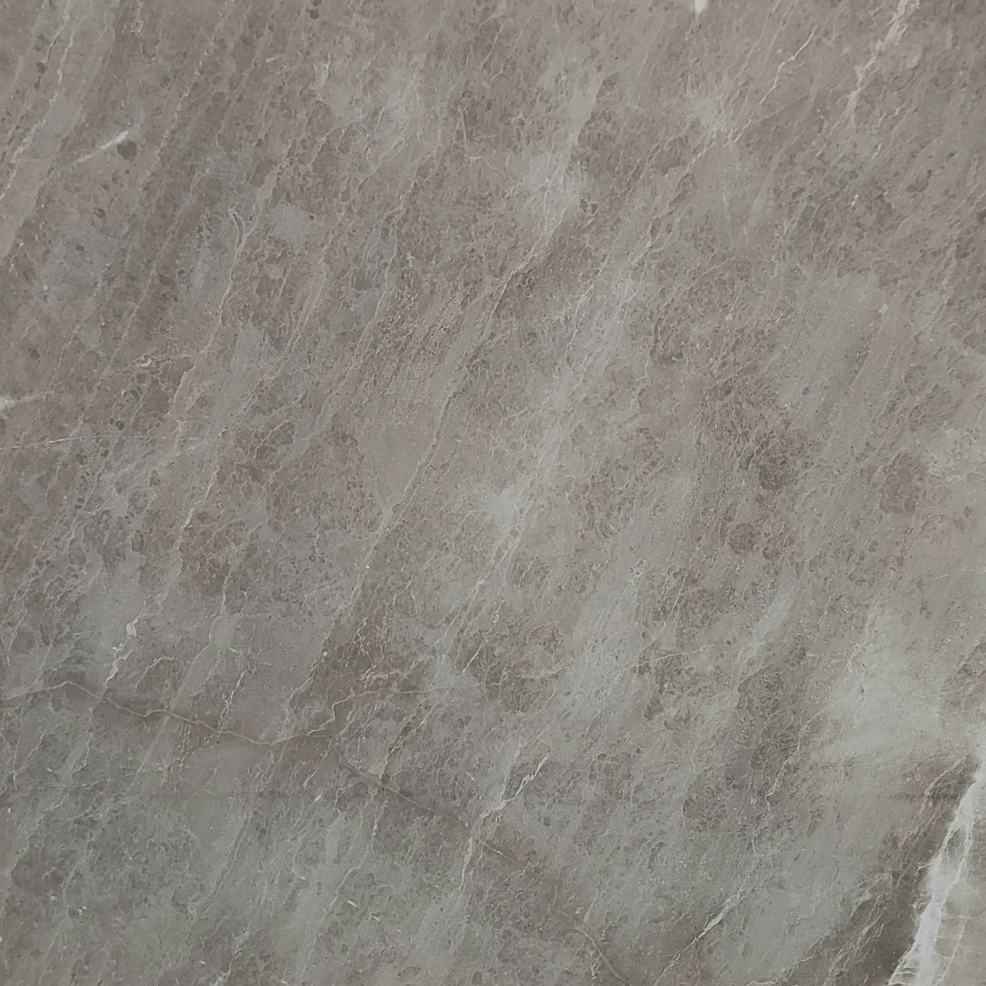 Princess Grey grey marble texture