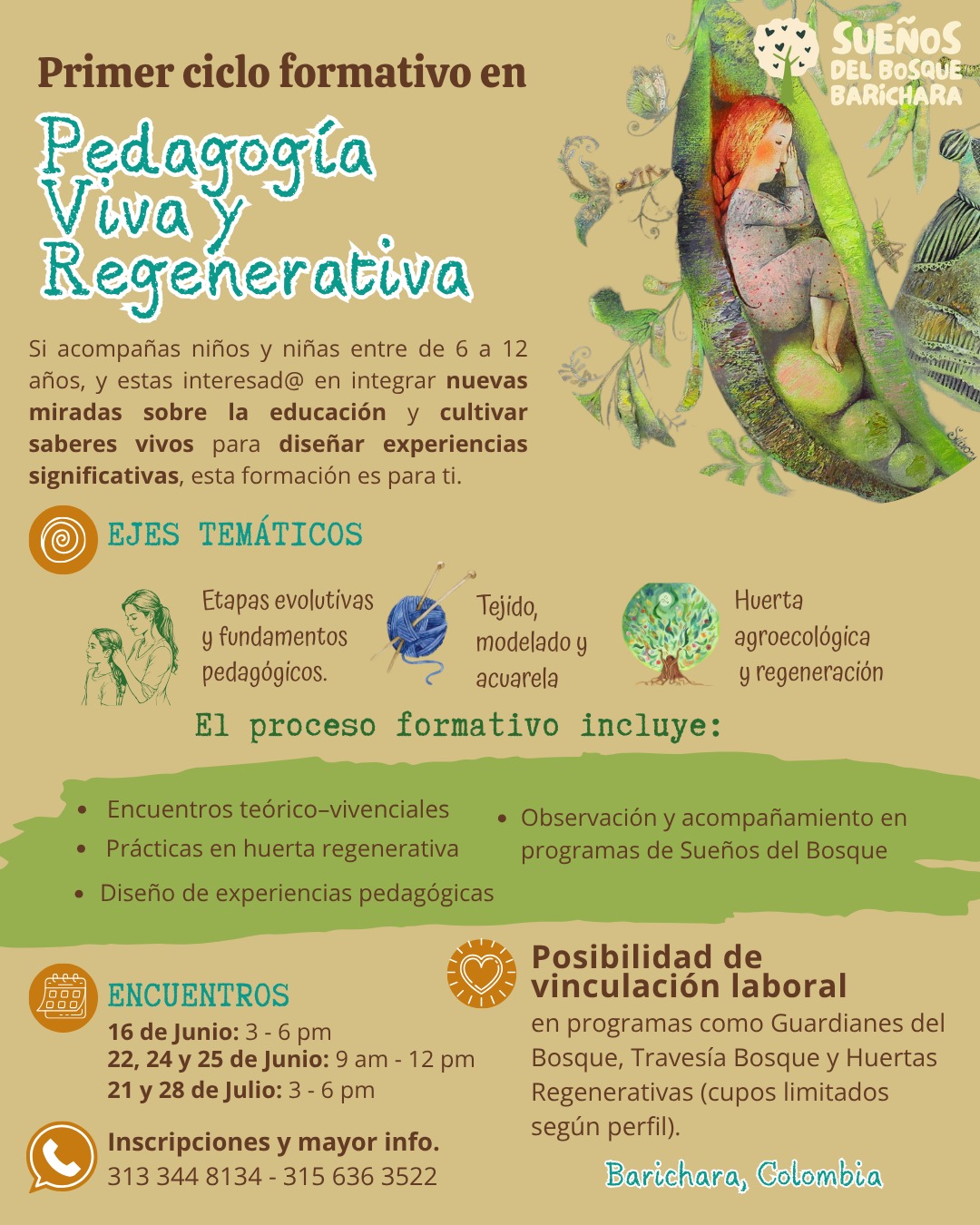 Sueños del Bosque Barichara - Primer ciclo formativo en Pedagogía Viva y Regenerativa