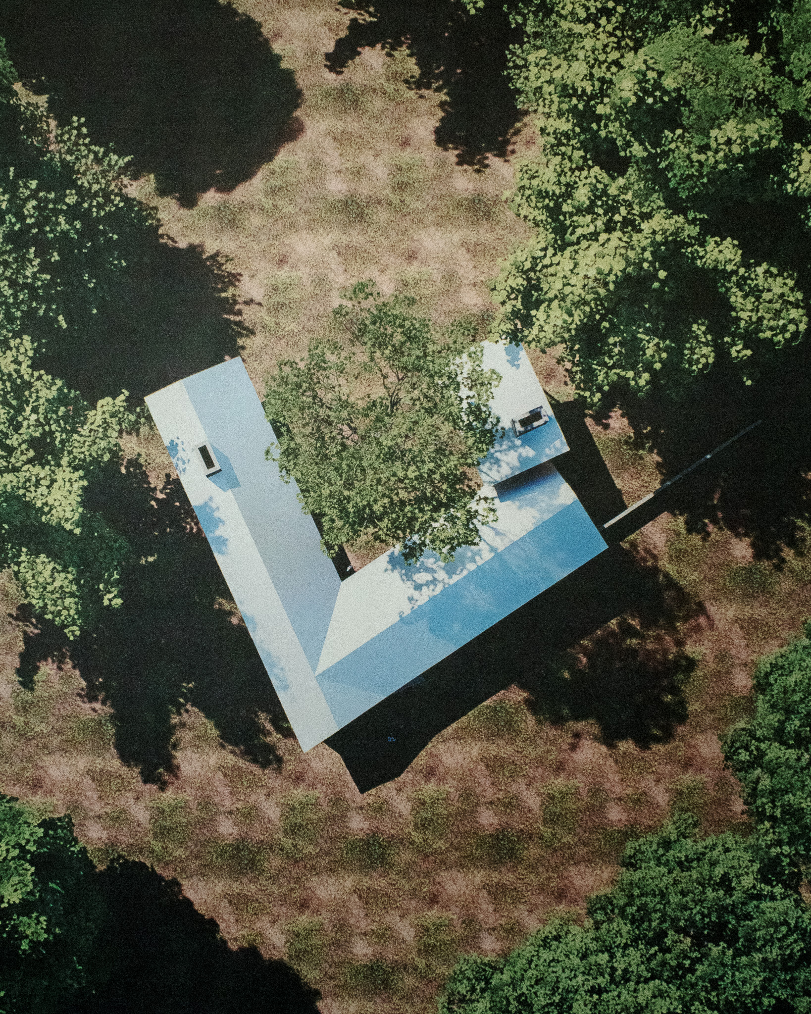 Aerial view of a modern L-shaped house nestled among trees