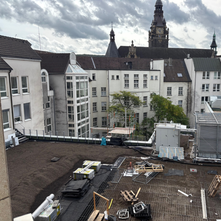 Grünes Dach - Coming Soon!