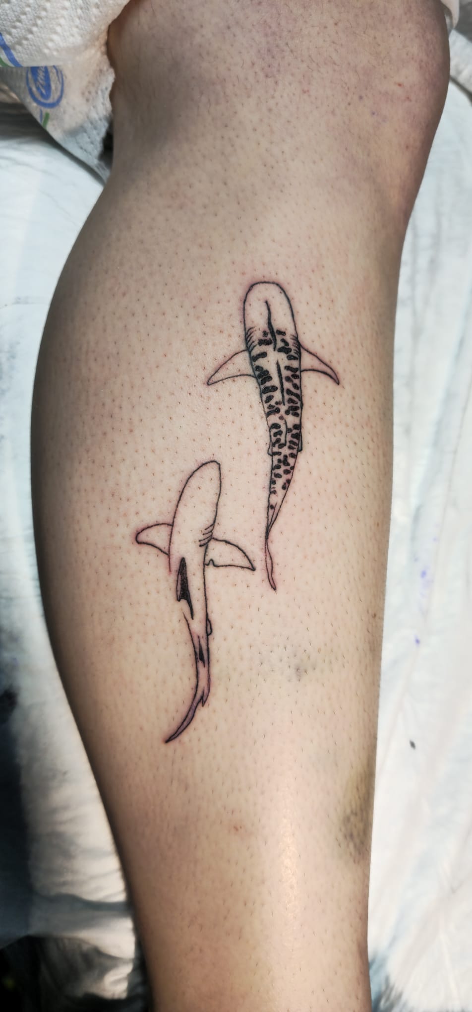 Realismus Tattoo - Haie