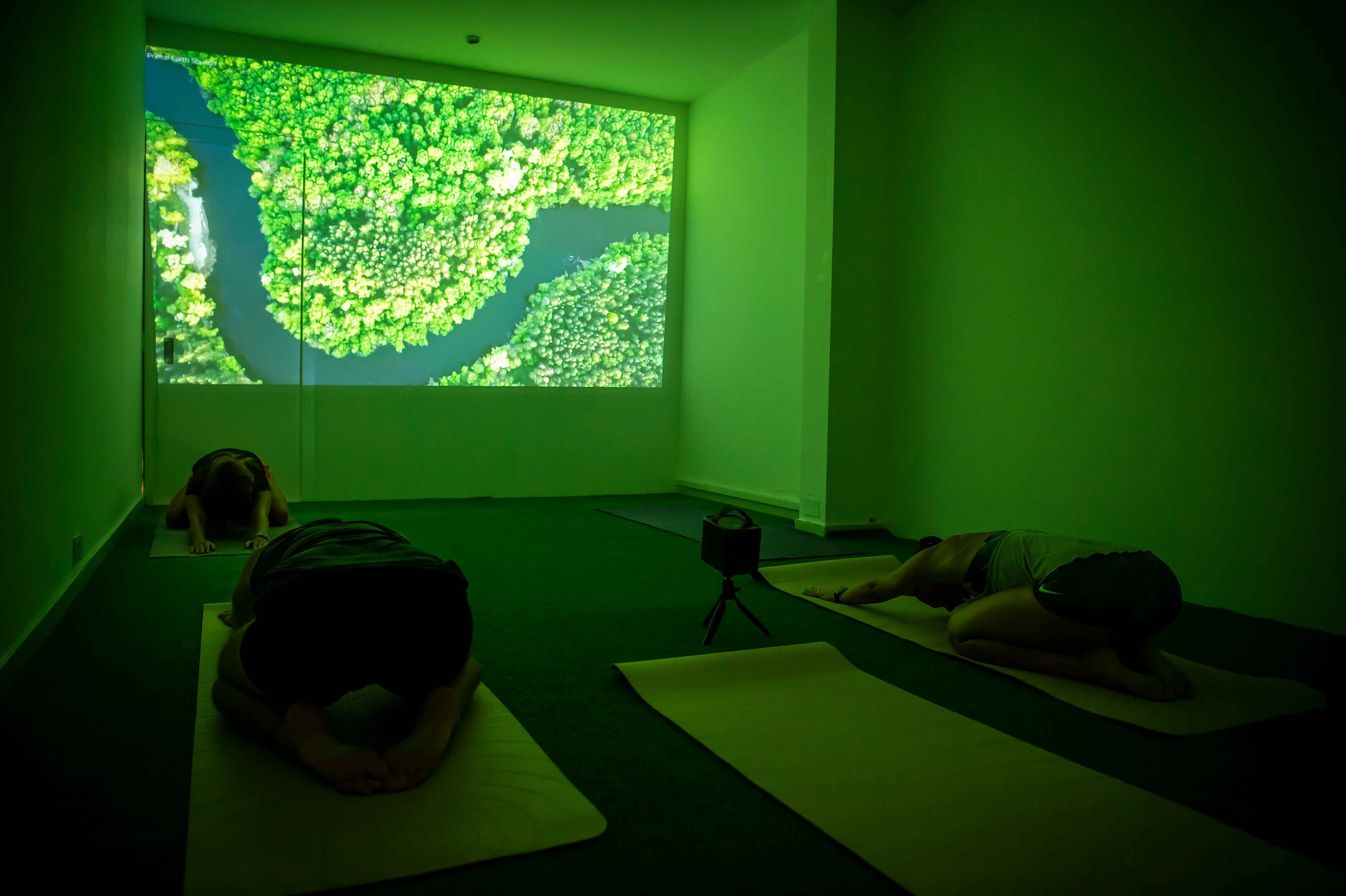 Yoga Classes