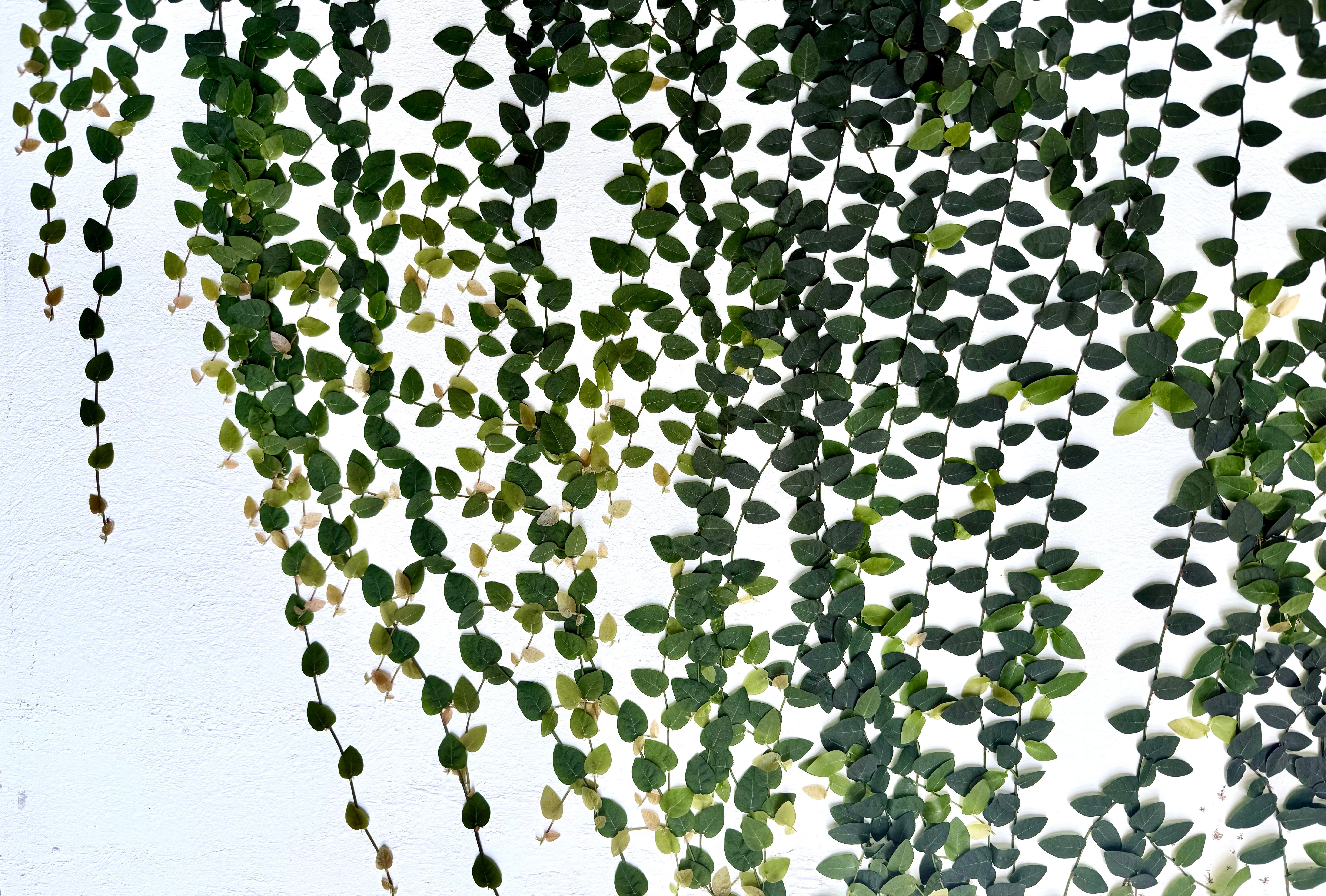 Return to Sender Cover