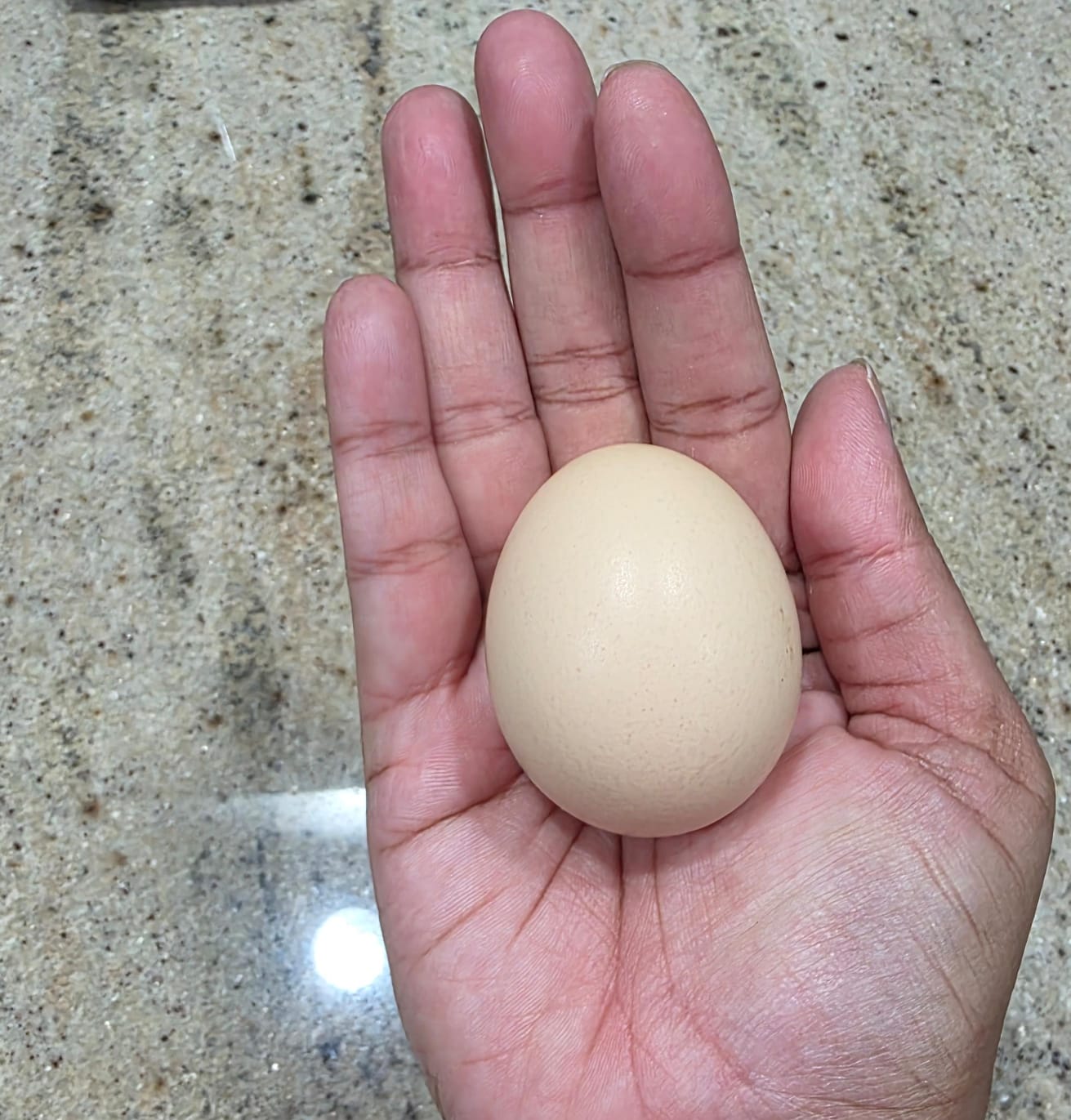 Small Eggs