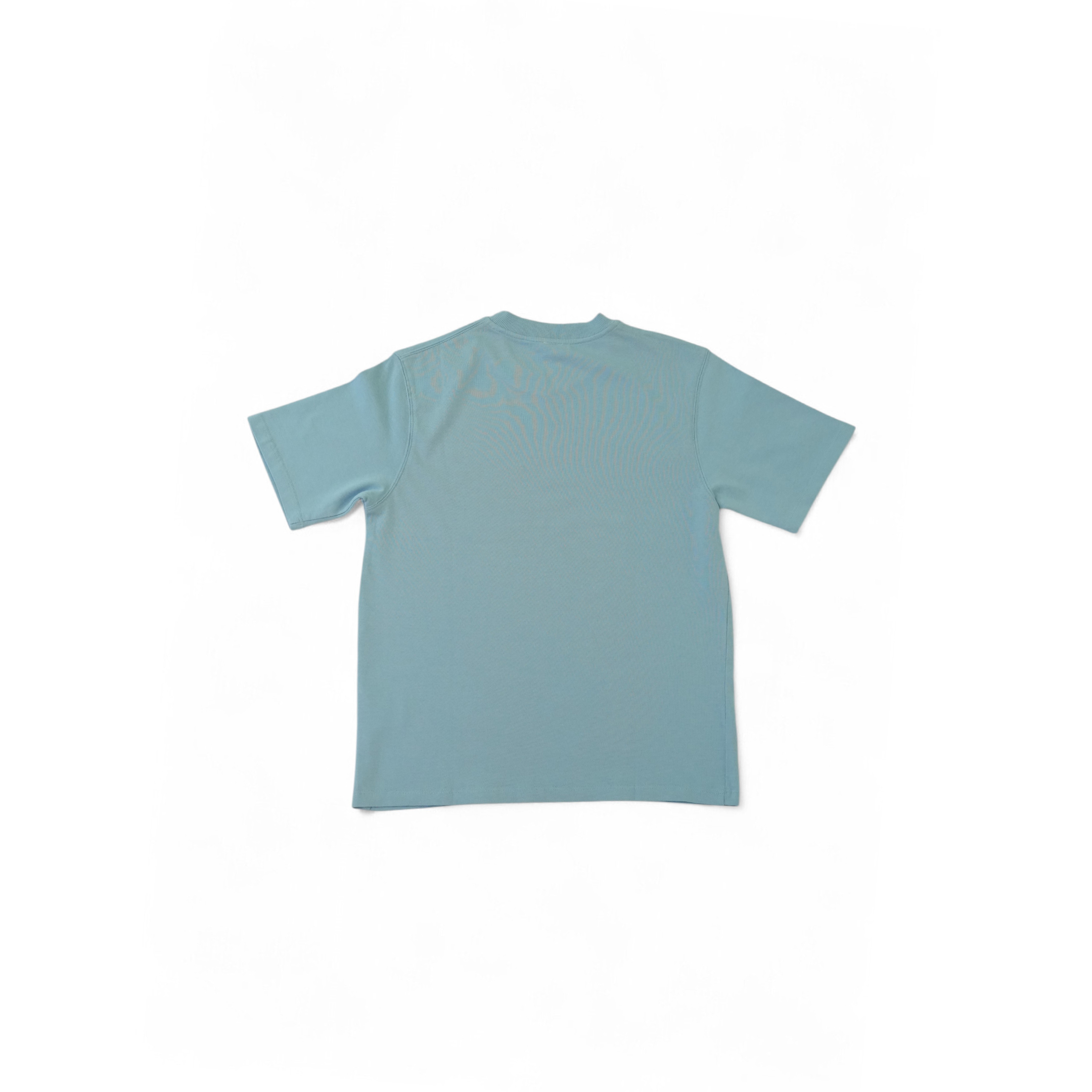 Back view of the sky blue 250gsm heavy cotton T-shirt.