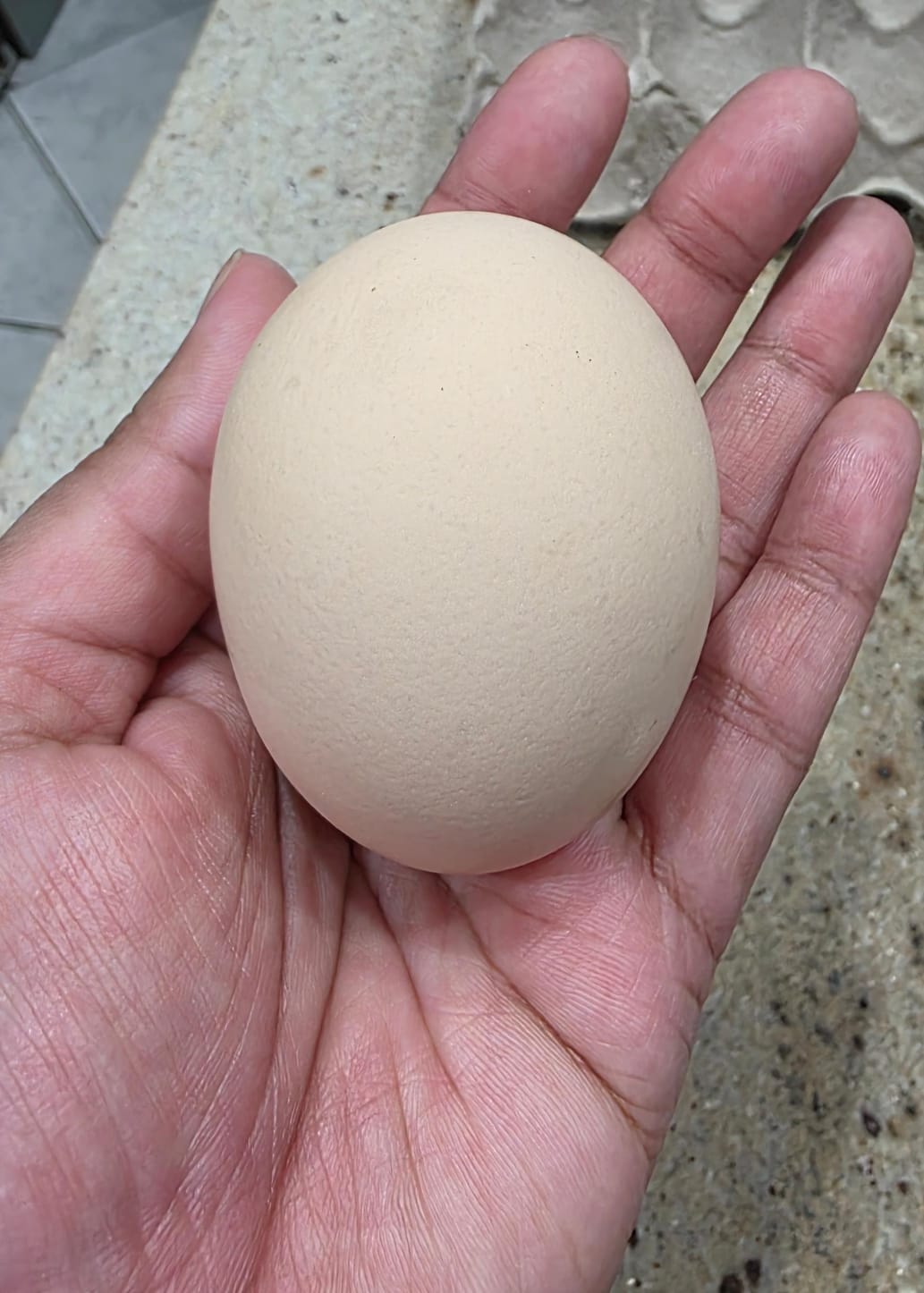 Super Jumbo Eggs