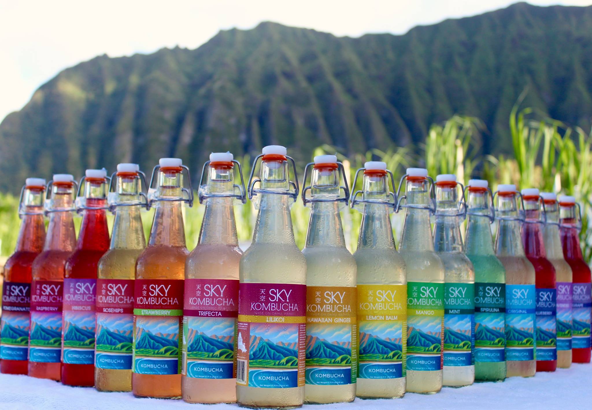 Full lineup of SKY Kombucha 16oz bottles with Ko'olau mountains