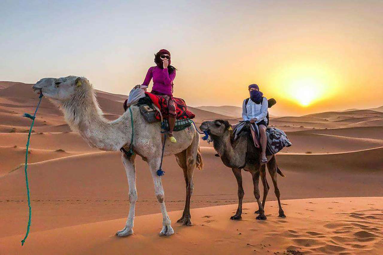 Sahara Desert Journeys