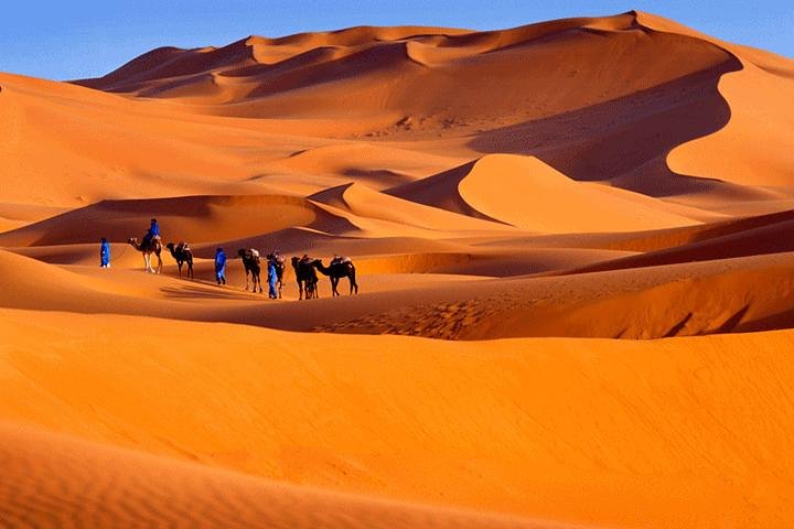 Sahara Desert Tours