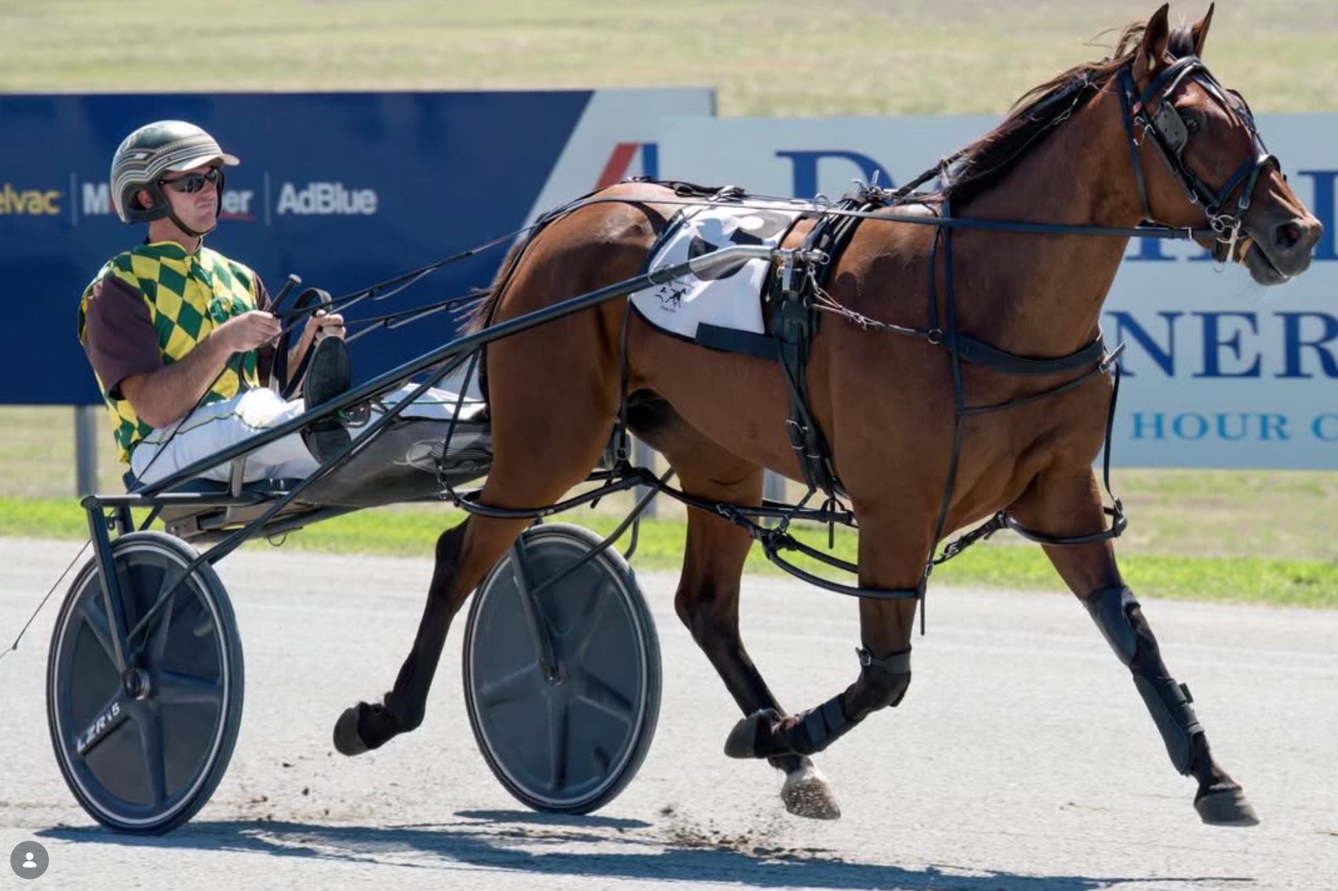 Daytime harness racing action