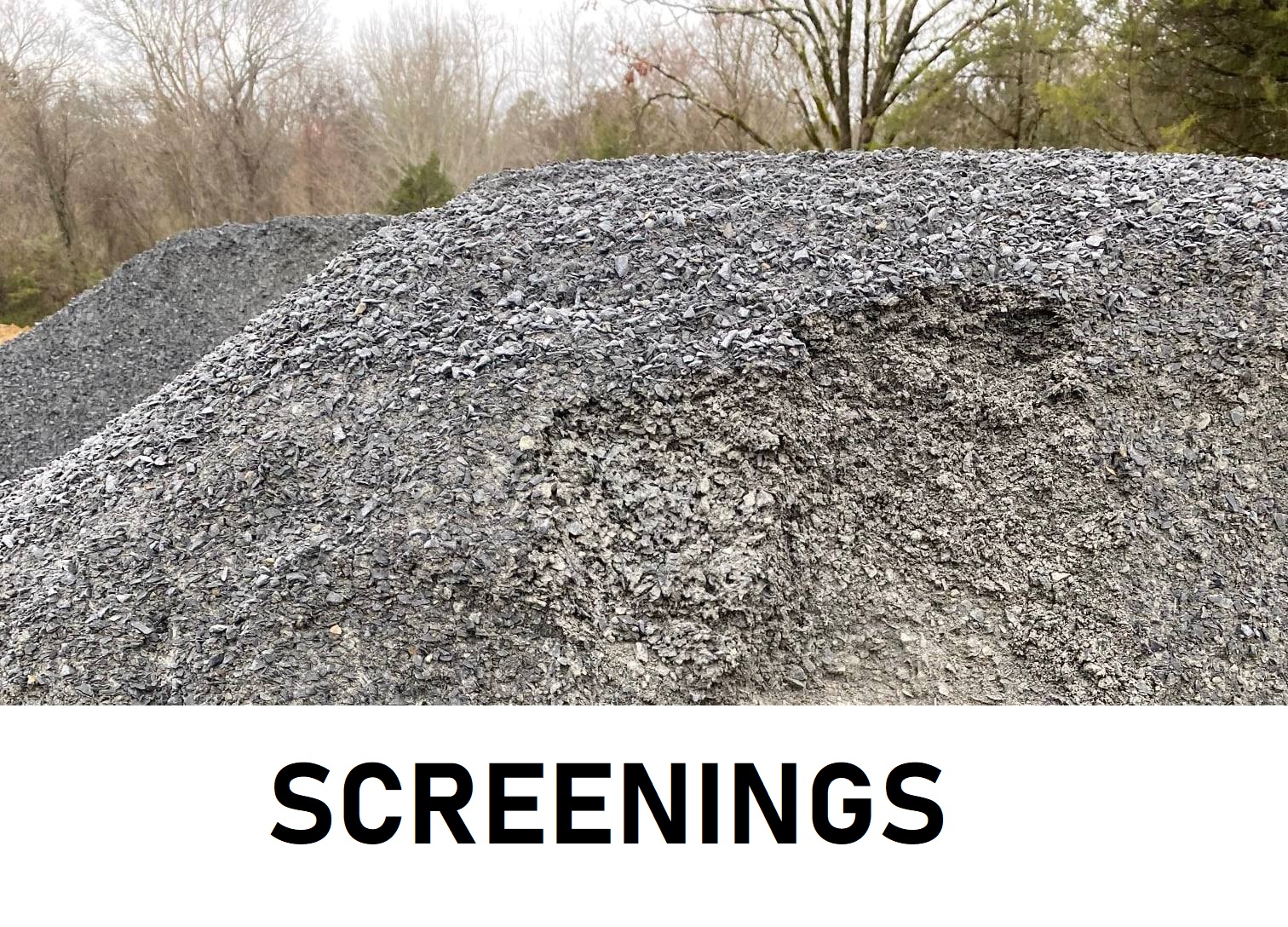Screenings