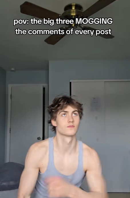 tiktok by @greygreyson