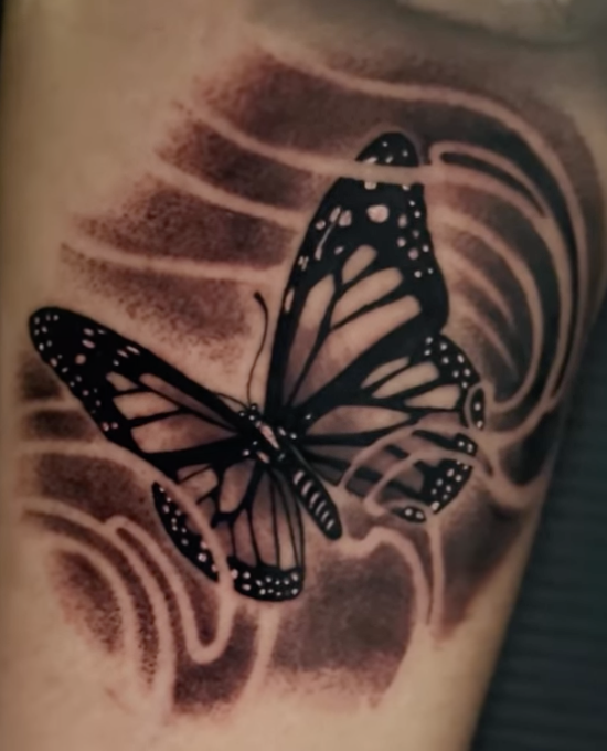Monarch