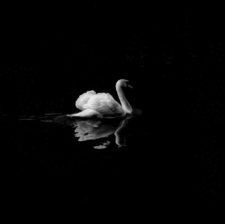 im done being ugly album cover