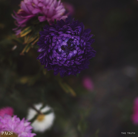 The Truth album cover