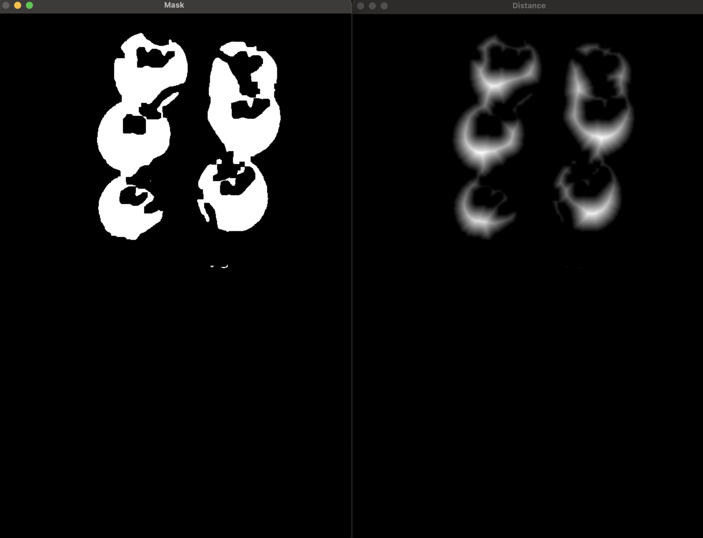 Computer vision mask and distance visualization for fruit segmentation