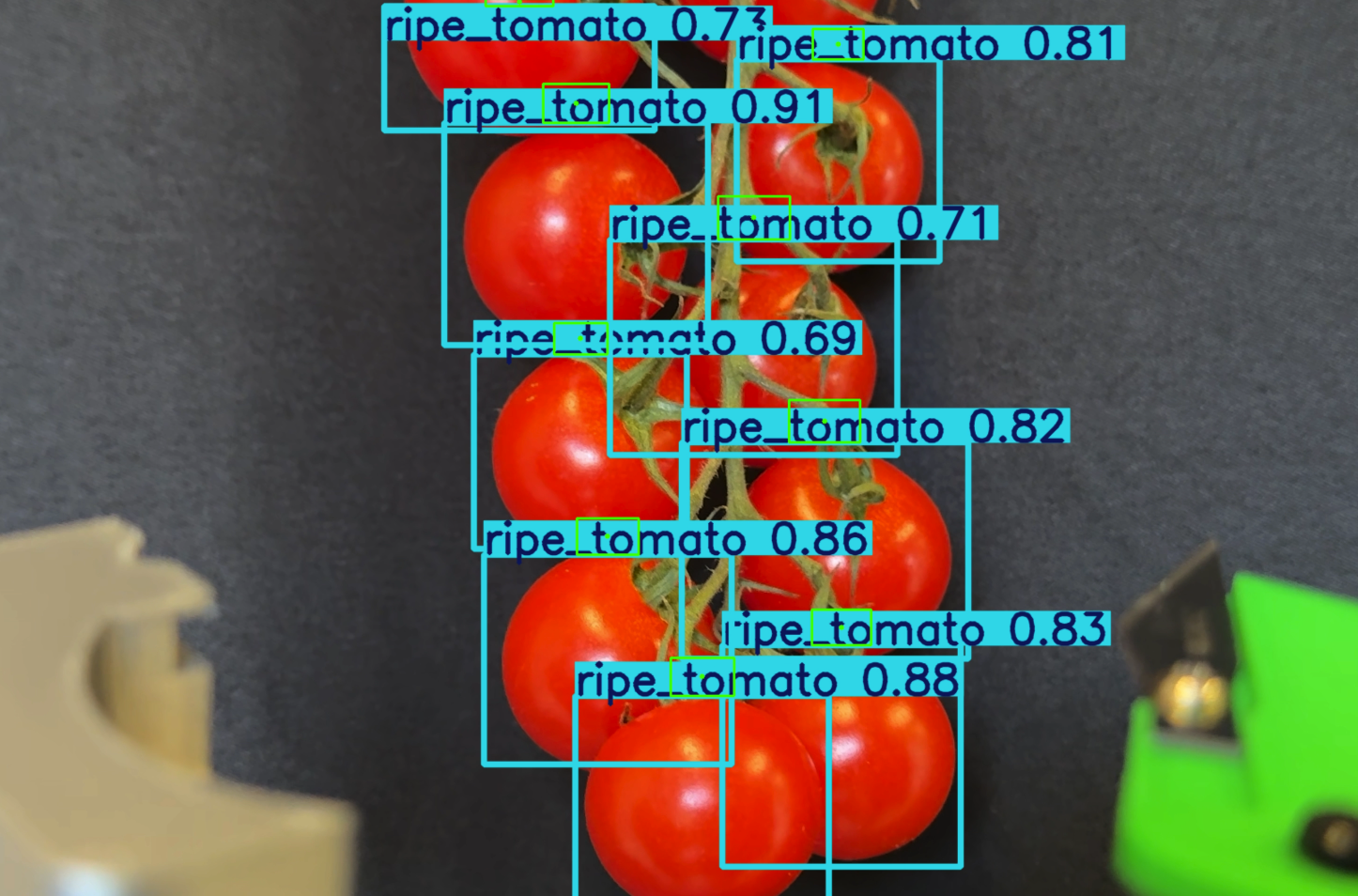 Tomato ripeness detection showing multiple bounding boxes with confidence scores