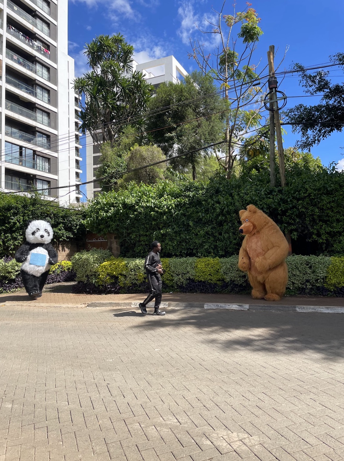 Panda and bear mascots on a Nairobi street