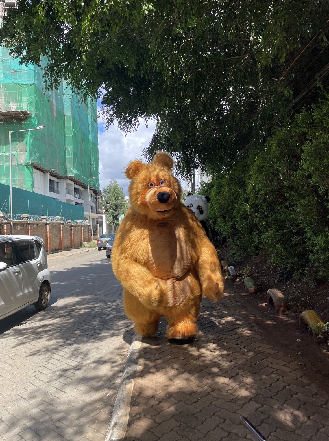Buju - Brown Bear mascot